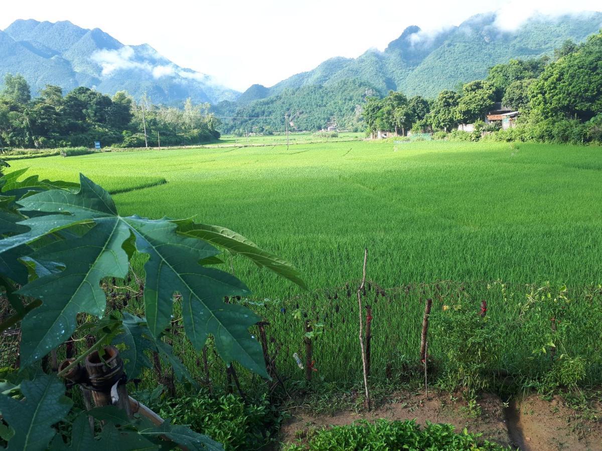 Meadow Mai Chau Homestay Exterior foto